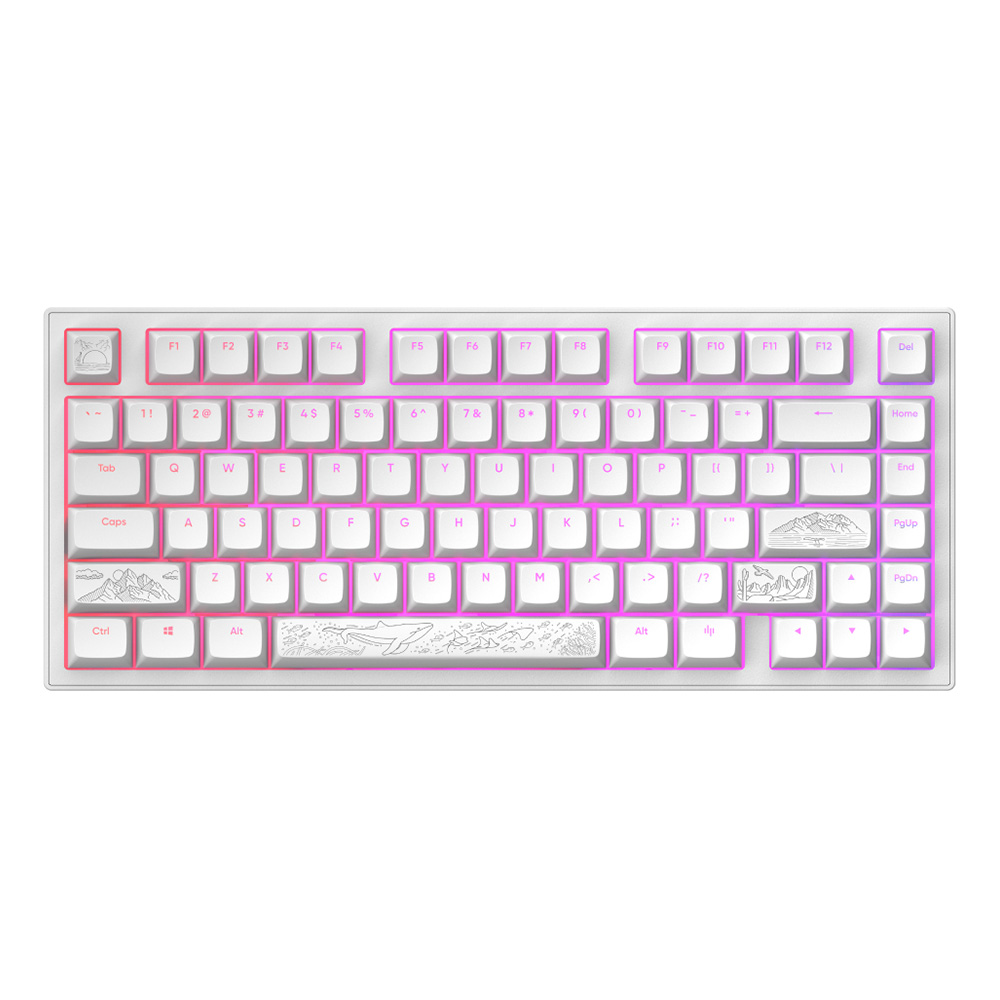 Dark Project ALU Terra Nostra White – Wired Gaming Keyboard (ANSI) Tastature SOPING.RS 41 Dark Project ALU Terra Nostra White - Wired Gaming Keyboard (ANSI)