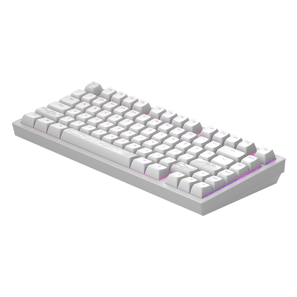 Dark Project ALU Terra Nostra White – Wired Gaming Keyboard (ANSI) Tastature SOPING.RS 43 Dark Project ALU Terra Nostra White - Wired Gaming Keyboard (ANSI) - Слика 3