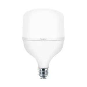 BRY ADVANCE 40W E27 T120 PLS 6500K LED SIJALICA