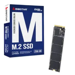 SSD M.2 NVME 256GB Biostar 3200MBs/1300MBs M760