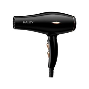 HALEY HY4031 FEN 2200W CRNI