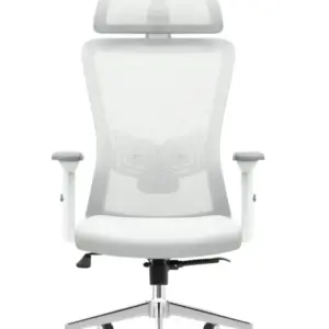 Ergonomska kancelarijska stolica UGD Silver Polare