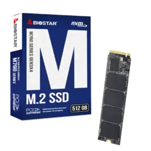 SSD M.2 NVME 512GB Biostar 2800MBs/1700MBs M760
