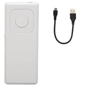 MP3 Player 301 32GB beli