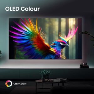 55 inča 55A85Q OLED 4K UHD Smart TV Televizori SOPING.RS 55 inča 55A85Q OLED 4K UHD Smart TV