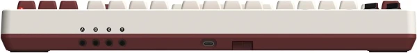 Bežična tastatura 8BitDo Retro 87/mehanička/Fami Edition + Dual Super Buttons Tastature SOPING.RS 44 Bežična tastatura 8BitDo Retro 87/mehanička/Fami Edition + Dual Super Buttons - Слика 4